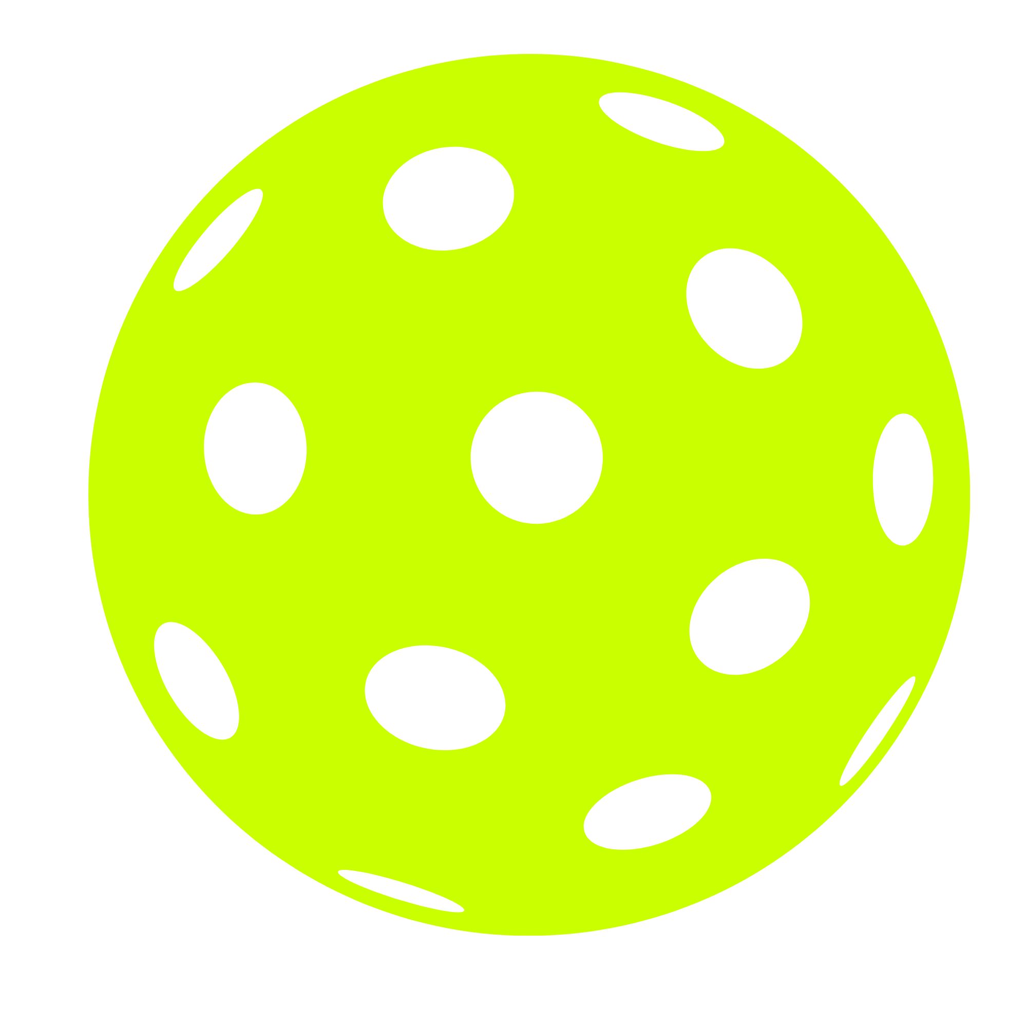 Bóng Pickleball