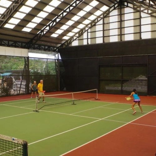 Tranh cãi pickleball đang giết chết môn quần vợt ở Mỹ